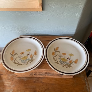 Retro Floral Stoneware Plates
