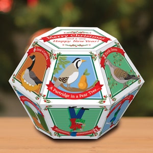 12 Days of Christmas & Happy New Year Pop-up Card - ready for hand signing!