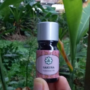 100% Cherry Blossom, Sakura Oil, Aromatherapy, Highest Quality, Ok on Skin