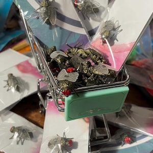 May include: A miniature shopping cart filled with fly-shaped brooches. The brooches are metallic with clear wings and red eyes. Some are packaged on small cards. The cart has a mint green handle.