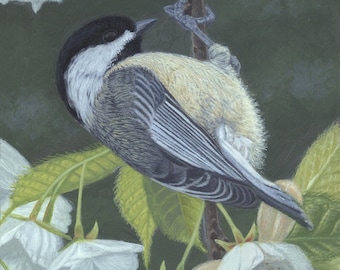 Chickadee  Acrylic Paintin