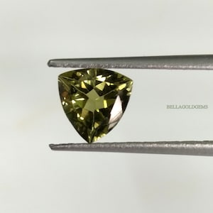 7 mm Grüner Bi-Color Turmalin Edelstein: Facettierter Trillion Schliff