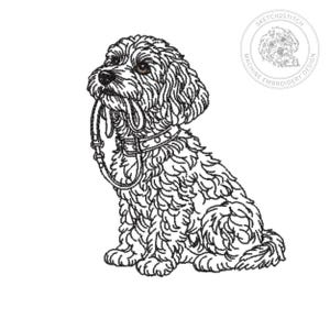 Op de afbeelding: Zwart-witte lijntekening van een zittende hond die een riem in zijn bek houdt. De hond heeft krullend haar, een halsband en bruine ogen. Een cirkelvormig logo met de tekst "SKETCH2STITCH MACHINE EMBROIDERY DESIGN" staat in de rechterbovenhoek.