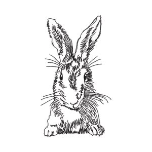 Vintage Rabbit Redwork Machine Embroidery Design 2 Sizes - Instant Download