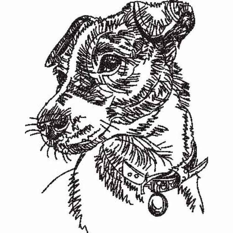 JACK RUSSELL TERRIER Sketch Machine Embroidery Design 3 Etsy