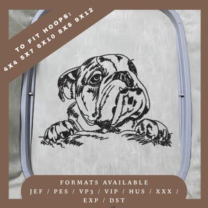 English Bulldog Dog Embroidery Design – Redwork Sketch Pattern – 5 Hoop Sizes – Instant Download