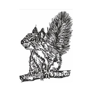 Redwork Sketch Machine Embroidery Design Pattern – British Wildlife – Squirrel - 5 Sizes 9X12 8X8 6X10 5X7 4X4 - Digital Instant Download