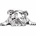 see more listings in the Dogs embroidery designs section