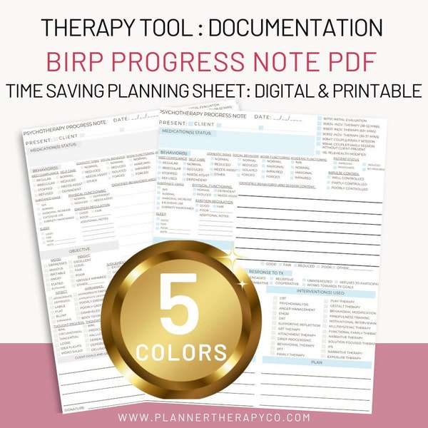 BIRP note Psychotherapy PROGRESS note template with MSE | digital download therapy | therapist worksheets | psychotherapy notes
