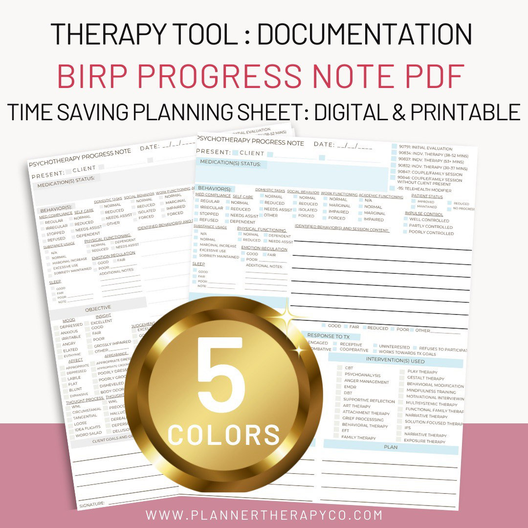 BIRP Note Psychotherapy PROGRESS Note Template With MSE Digital BIRP Note Psychotherapy PROGRESS Note Template With MSE Digital