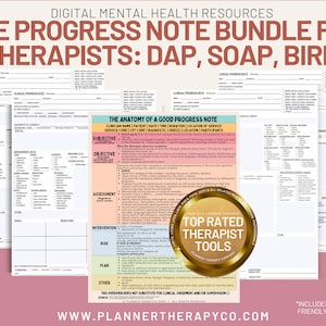 Nuove note di progresso per terapisti, modello stampabile e compilabile, modello di nota di progresso del cliente, consulenza, modello di nota SOAP sociale MSE