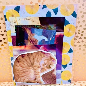 May include: A collage of images featuring a sleeping orange tabby cat, a cat's paw, and a musical score. The collage is on a background of yellow and blue flowers.