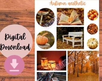 Autumn aesthetic stickers, Pumpkin themed stickers, Autumn sticker sheet, Cute autumn stickers, fall stickers for journaling, planners