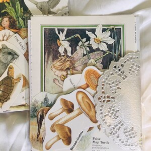 Op de afbeelding: Een witte kaart met een vintage illustratie van een fee met vleugels en een bloemenkroon. De fee is omringd door witte narcissen. De kaart bevat ook een witte kant en verschillende papieren uitsnijdingen van paddenstoelen en een schildpad. De tekst op de kaart luidt "False Map Turtle Graptomys pseudogeographicu Shell length:"