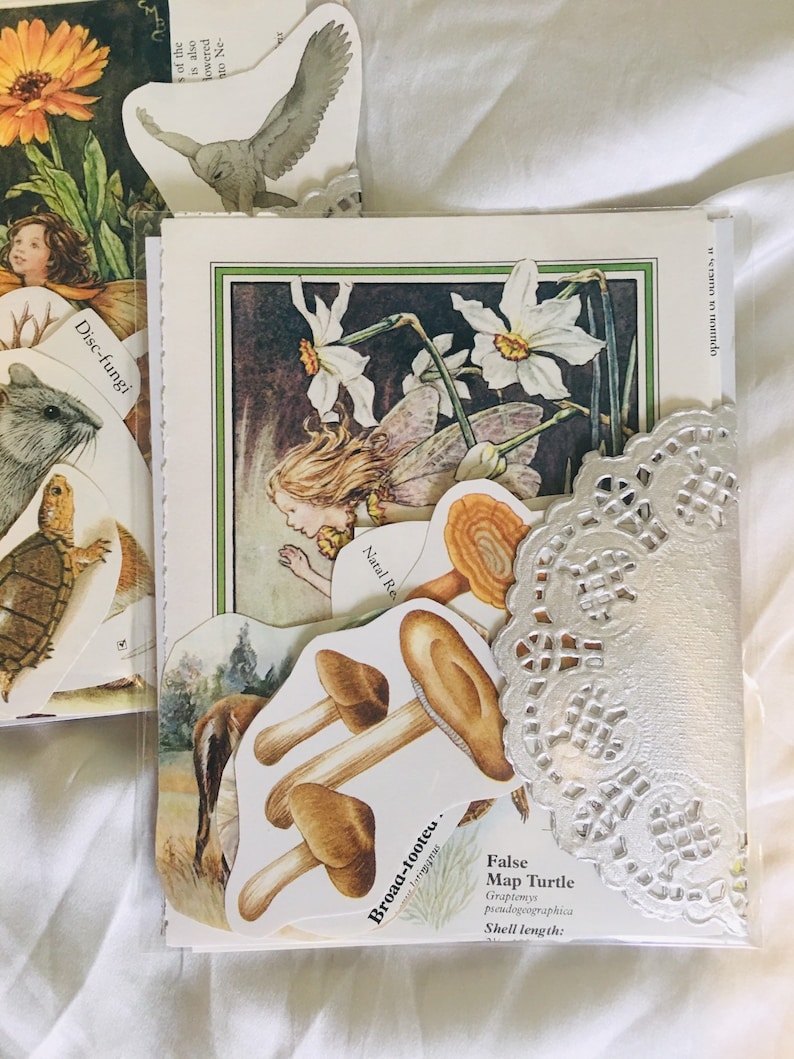 Op de afbeelding: Een witte kaart met een vintage illustratie van een fee met vleugels en een bloemenkroon. De fee is omringd door witte narcissen. De kaart bevat ook een witte kant en verschillende papieren uitsnijdingen van paddenstoelen en een schildpad. De tekst op de kaart luidt "False Map Turtle Graptomys pseudogeographicu Shell length:"
