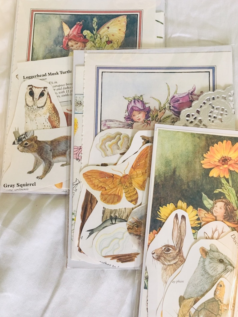Op de afbeelding: Een verzameling vintage papieren ephemera met illustraties van een grijze eekhoorn, een loggerhead-moerasschildpad, een uil, een vlinder, een fee, een konijn, een muis en een bloem. De papieren ephemera is perfect voor scrapbooking, kaartmaken en andere knutselprojecten.