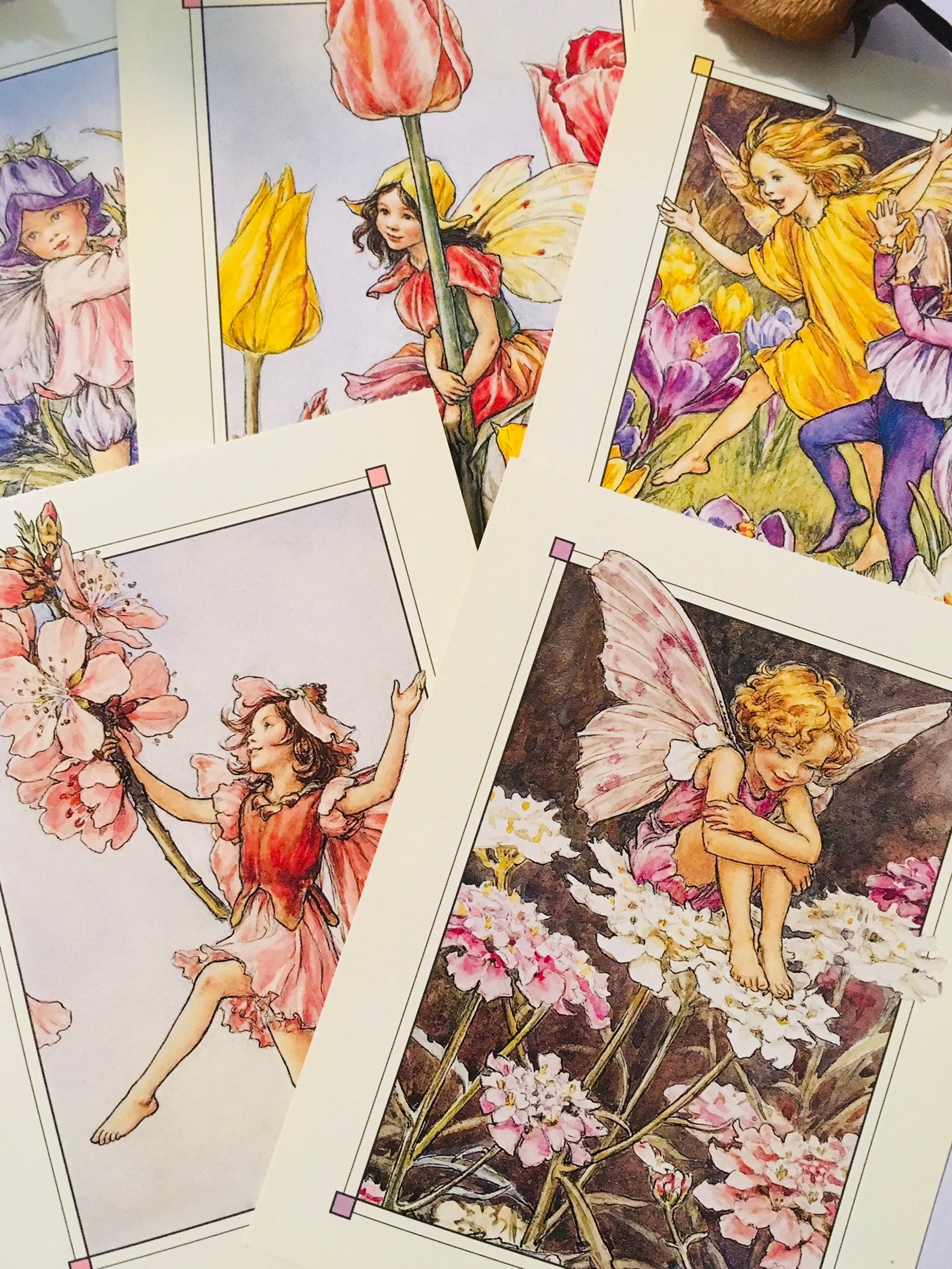 Flower Fairies Postcard Set of 3 Fairy Postcards Cicely Mary Etsy