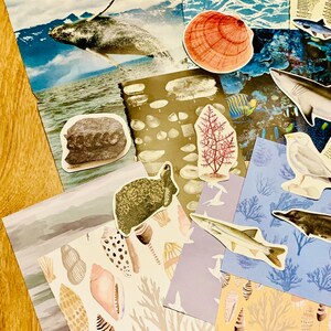 May include: A collection of colorful paper sheets with various sea-life illustrations. The sheets feature a whale, a shark, a fish, a seahorse, a turtle, a clam, a coral, and seashells. The sheets are perfect for scrapbooking, card making, or other craft projects.
