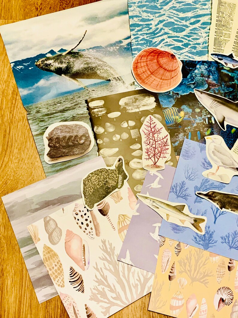 May include: A collection of colorful paper sheets with various sea-life illustrations. The sheets feature a whale, a shark, a fish, a seahorse, a turtle, a clam, a coral, and seashells. The sheets are perfect for scrapbooking, card making, or other craft projects.