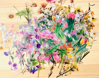 Floral Stickers Set (10pcs), cute and sweet flower stickers for scrapbooking, Small translucent Botanical Junk Journal sticker Embellishment