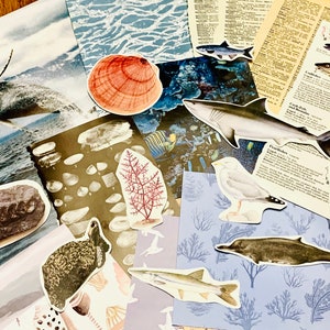May include: A collage of images featuring various sea creatures, including a whale, shark, fish, and seabirds. The collage also includes images of seashells, coral, and a rock. The images are arranged on a variety of backgrounds, including blue, brown, and white.