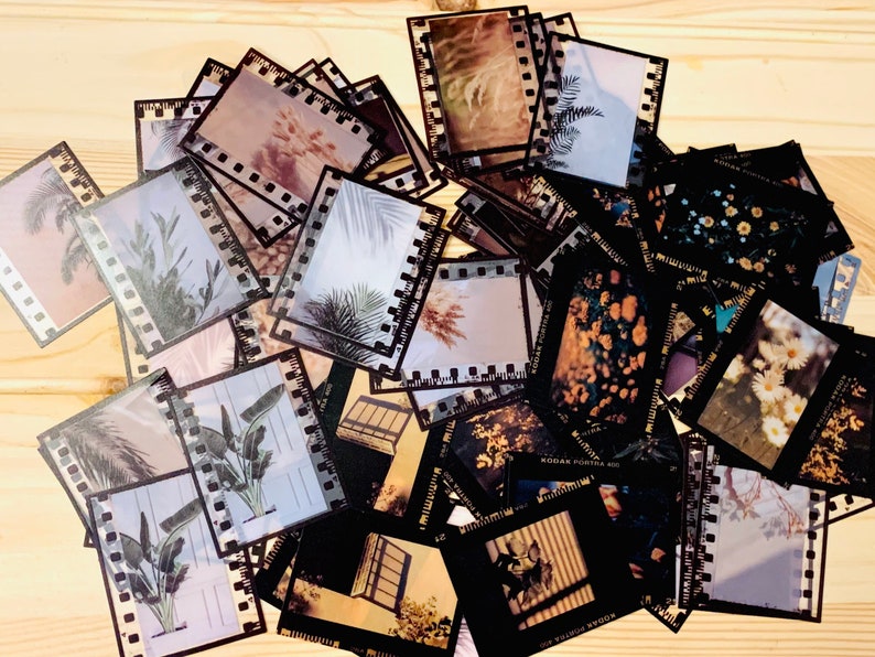 20 Floral Photography Stickers Photo Negative Stickers Junk Etsy