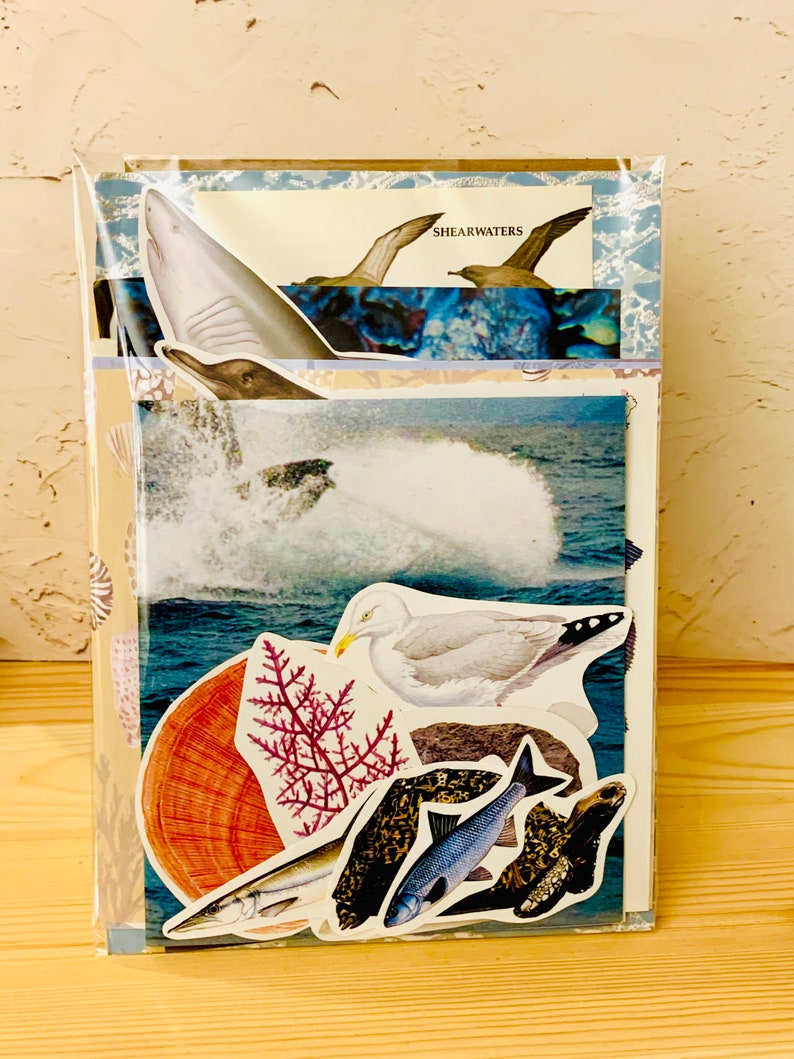 May include: A set of colorful stickers featuring various sea creatures, including a shark, a dolphin, a seagull, a fish, and a coral branch. The stickers are arranged on a blue and white background with the word "SHEARWATERS" printed on a white banner.