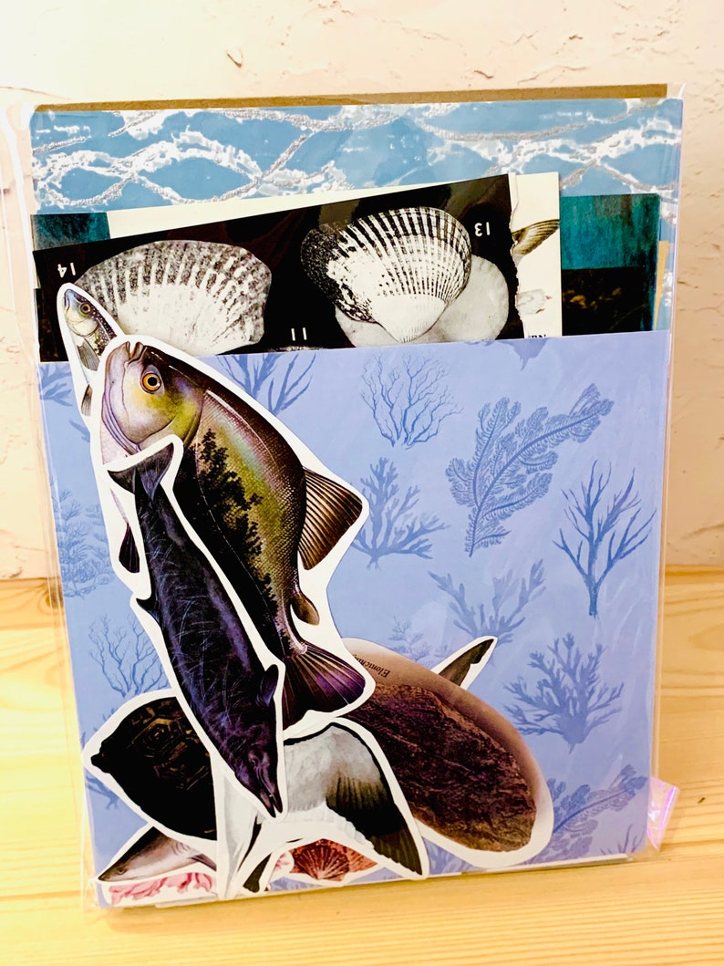 May include: A blue and white patterned paper with a variety of sea-themed stickers, including fish, seashells, and coral. The stickers are arranged in a collage-like fashion.