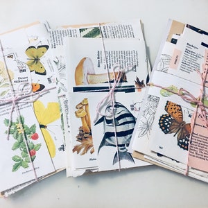 Junk journal supplies, ephemera bundle, junk journal, vintage paper bundle, collage paper, scrap pack, plant ephemera, nature paper, journal