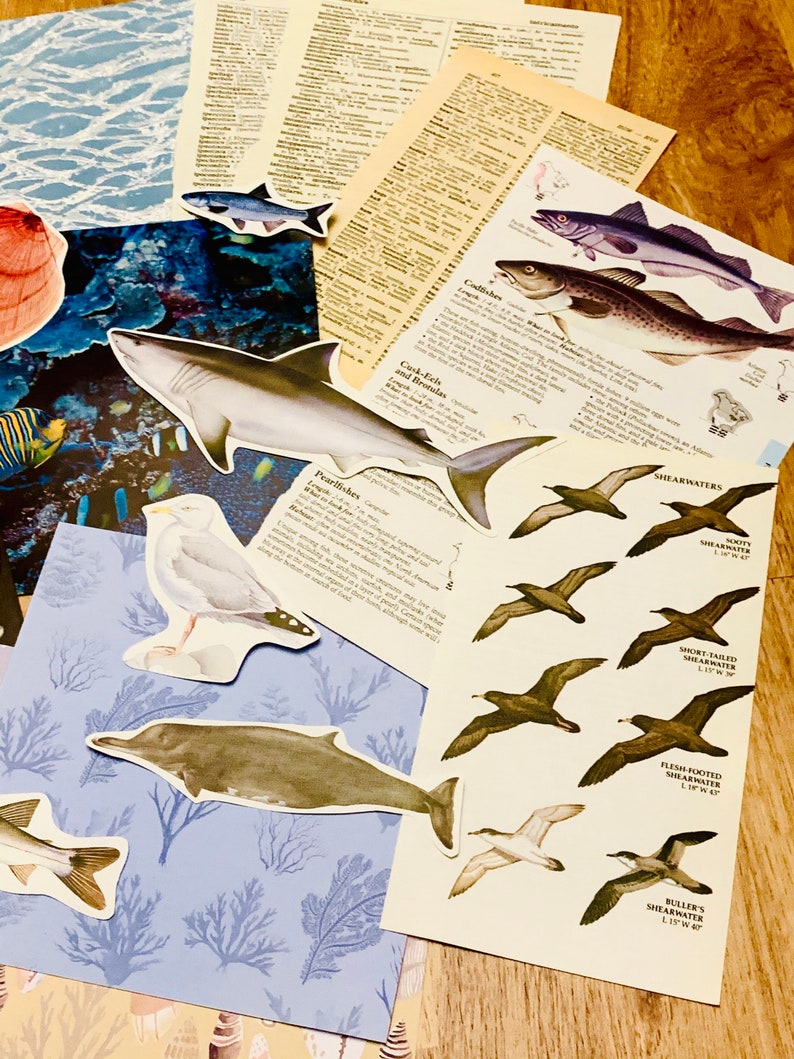 May include: A collection of colorful paper cutouts of sea creatures, including a shark, a dolphin, a seagull, and various fish. The cutouts are arranged on a blue and white patterned background with text about different types of fish and seabirds.