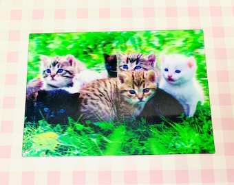 Baby kittens on the grass postcard, sweet kittens 3D postcard for snail mail, postcrossing, holiday postcard, autumn postcard, 3D print post