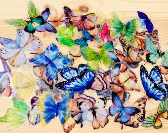 8 random butterfly specimen stickers, butterfly stickers, butterfly stickers, stickers, ethereal butterfly planner stickers, insects