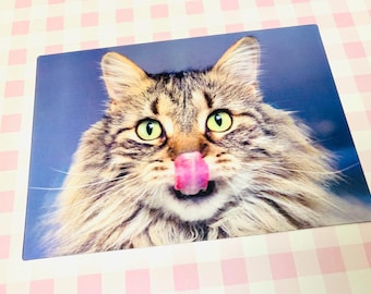 Funny 3D Kitty postcard, silly licking Cat postcard, funny cat postcards, dimensional postcard, 3D postcard unused