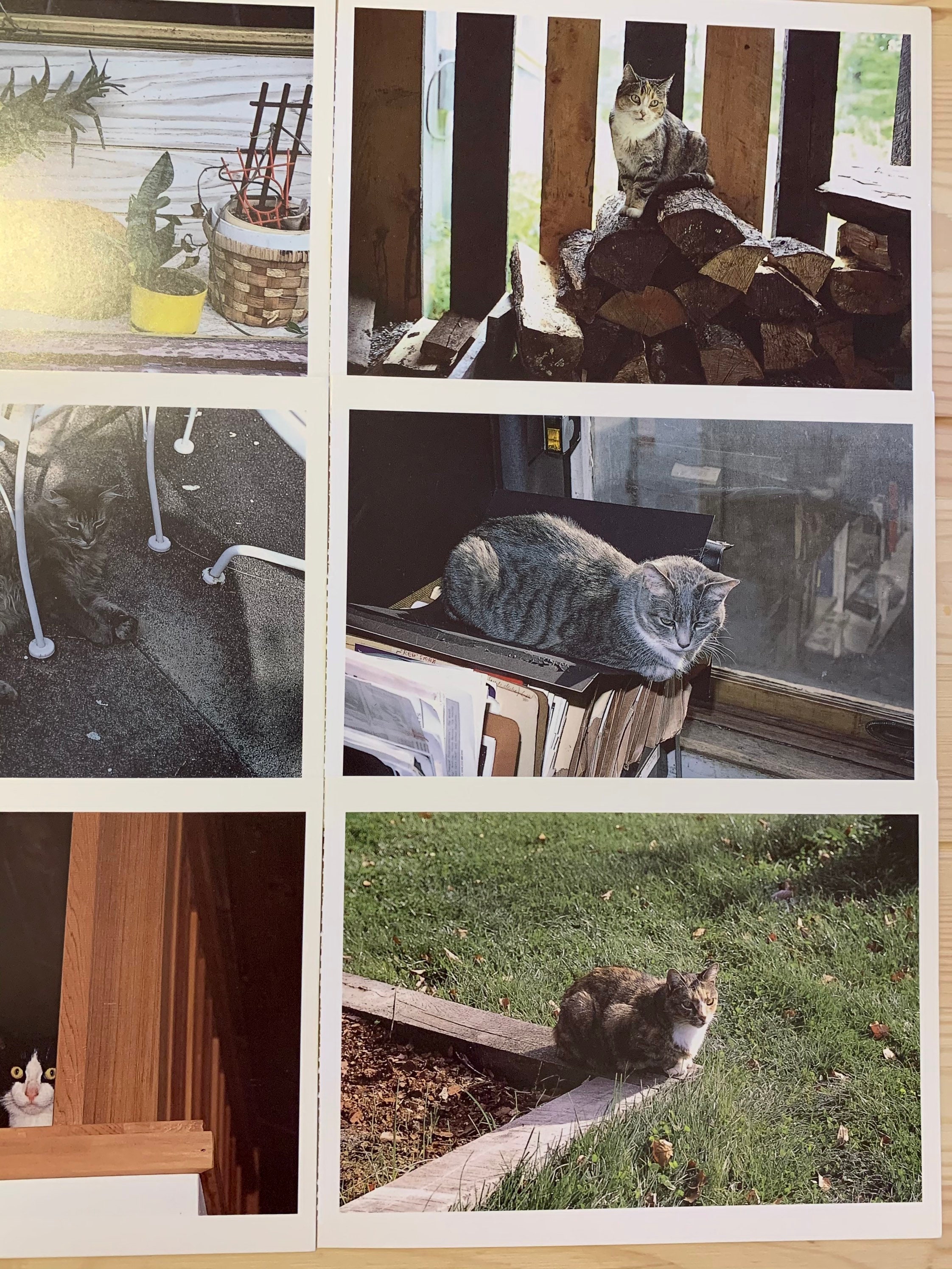 立体・オブジェ Winter journey - vintage cats ver.2 JXK CATZILLA 2.0 JXK239A/B/C Simulation Cat Creative