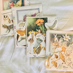 Op de afbeelding: Een set vintage natuurthema-kaarten met illustraties van een grijze eekhoorn, een loggerhead-moerasschildpad, een vlinder, een konijn, een schildpad, een vogel, een bloem en een paddenstoel. De kaarten zijn gedrukt op dik papier en hebben een vintage uitstraling.