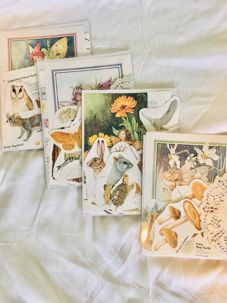 Op de afbeelding: Een set vintage natuurthema-kaarten met illustraties van een grijze eekhoorn, een loggerhead-moerasschildpad, een vlinder, een konijn, een schildpad, een vogel, een bloem en een paddenstoel. De kaarten zijn gedrukt op dik papier en hebben een vintage uitstraling.