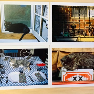 Peut inclure: Quatre cartes postales représentant différentes images de chats. La première carte postale montre un chat noir assis sur un rebord de fenêtre. La deuxième carte postale montre un chat dormant sur une boîte rouge avec les lettres "XX" dessus. La troisième carte postale montre un chat allongé sur une nappe à carreaux. La quatrième carte postale montre un chat assis sur un mur de briques.