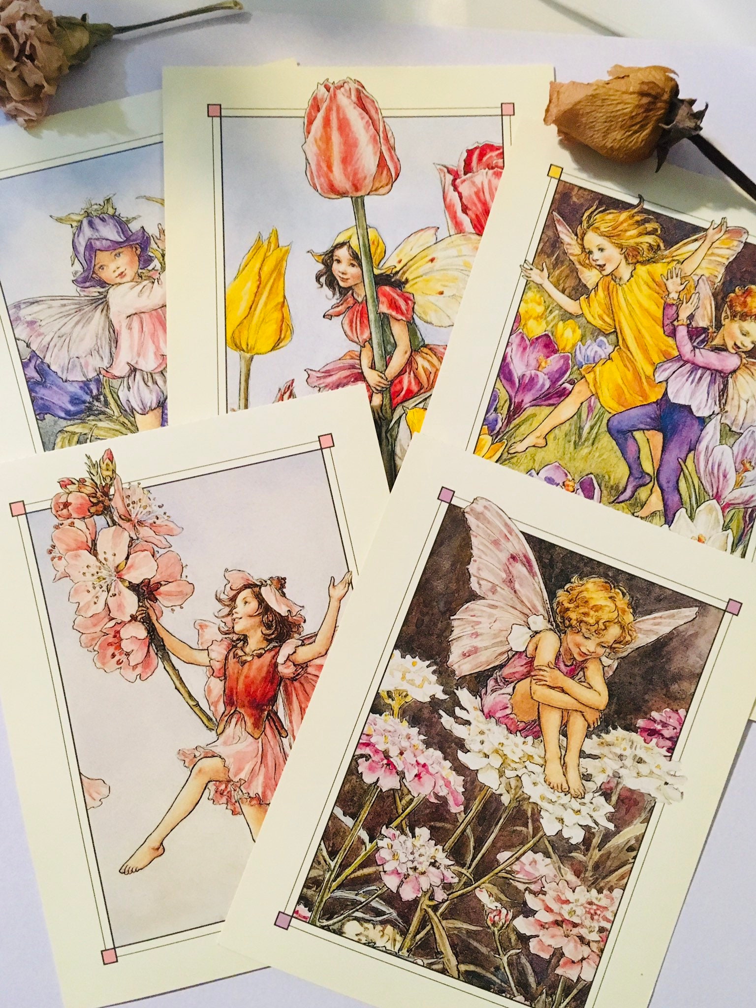 Flower Fairies Postcard Set of 3, Fairy Postcards, Fairy