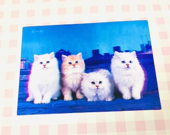 Cutie white kittens postcard, kitten 3D postcard, snail mail, postcrossing, kawaii postcard, holiday postcards, Christmas postcard, cute