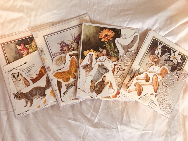 Op de afbeelding: Een set vintage papieren uitsteekkaarten met bosdieren en fee&euml;n. De kaarten zijn gedrukt op wit papier met kleurrijke illustraties. De kaarten bevatten een grijze eekhoorn, een langoor-masker-schildpad, een hert, een konijn, een schildpad, een vlinder, een paddenstoel en een fee.