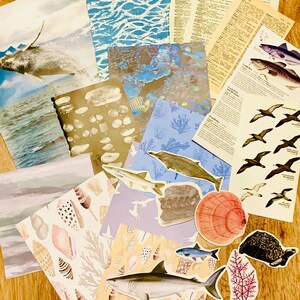 May include: A collection of colorful paper sheets with ocean-themed illustrations, including a whale, fish, seashells, and coral. There are also several stickers with sea creatures, such as a sea urchin, a seagull, and a shark.