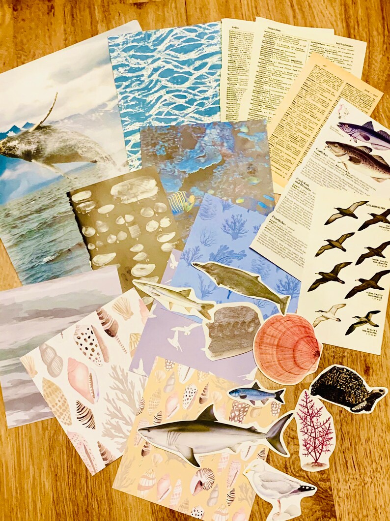 May include: A collection of colorful paper sheets with ocean-themed illustrations, including a whale, fish, seashells, and coral. There are also several stickers with sea creatures, such as a sea urchin, a seagull, and a shark.