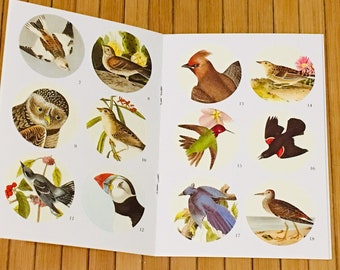 Illustrated bird stickers, small bird circular stickers, bird sticker seals, small bird sticker book, junk journal supplies, bird stickers