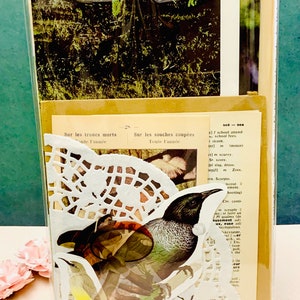 National Park Journal Kit, Nostalgic forest ephemera, forest ephemera, National forest junk journal kit, Scrapbook Supplies, Journaling Kit