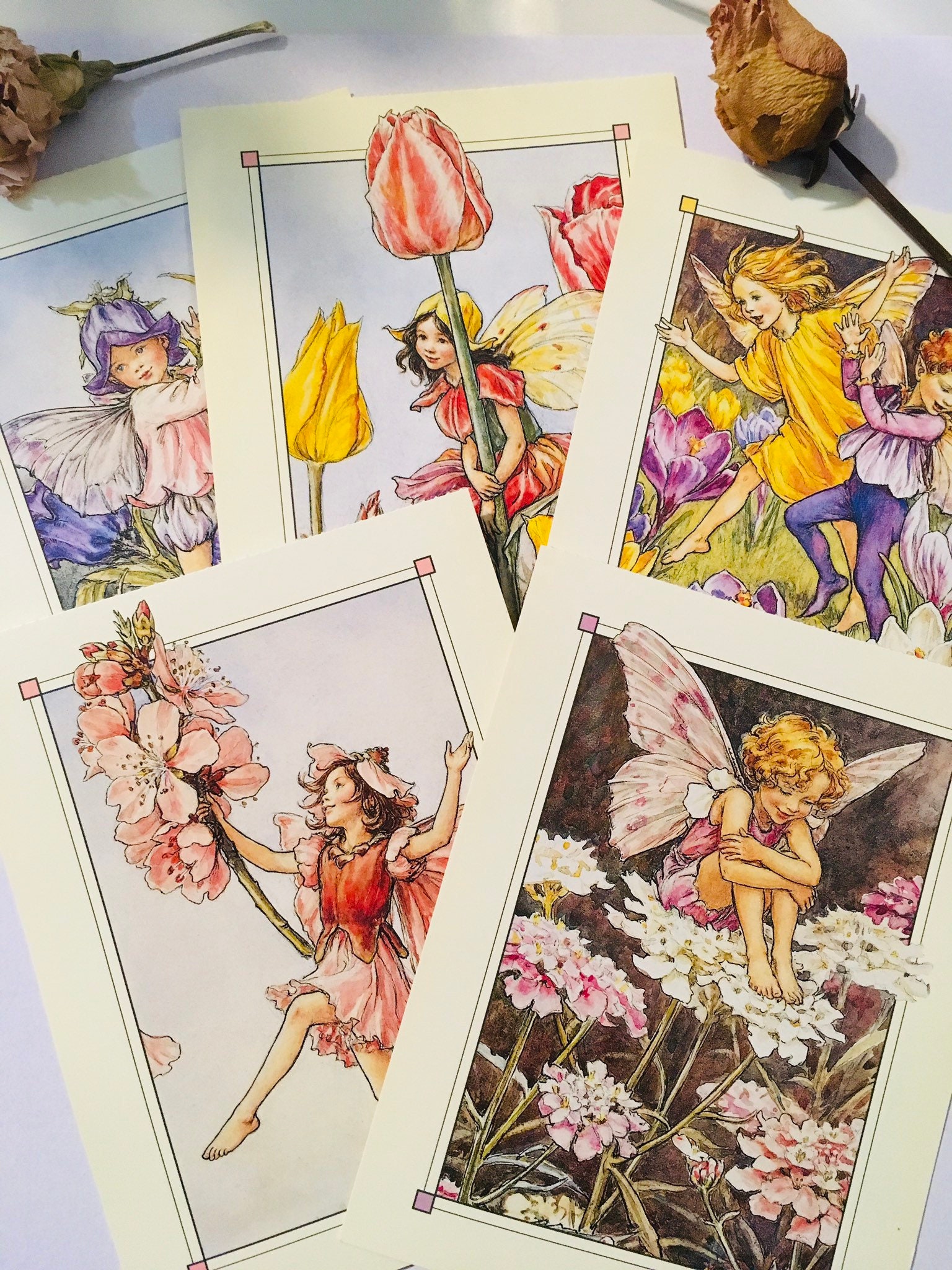 Flower-Fairies Postcard Book: Barker, Cicely Mary
