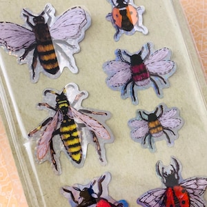 insect stickers, insect pop up stickers, 3d insect stickers, bug stickers, craft stickers, scrapbooking stickers, insect stationery, bug