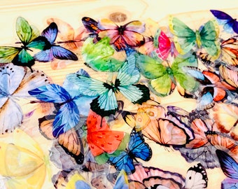 8 random butterfly specimen stickers, butterfly stickers, fairy butterfly stickers, stickers, ethereal buttterfly planner stickers, magical