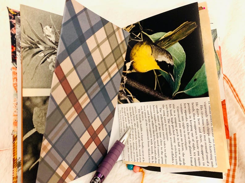 Peut inclure: Un album de scrapbooking fait main avec des pages au motif &eacute;cossais bleu, marron et blanc, une illustration botanique en noir et blanc, et une photo couleur d'un oiseau jaune sur une branche. Un stylo violet repose sur les pages ouvertes.