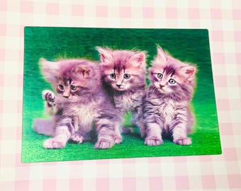 Gray trio kittens postcard, baby kitten postcard, gray kitty postcard, cat postcard gift, 3D unique kitten postcards, holiday postcard
