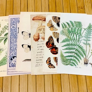 Vintage style postcard set of 2, Vintage reproduction postcards, 2 nature postcards, Travel postcards, travel journal, art postcard set